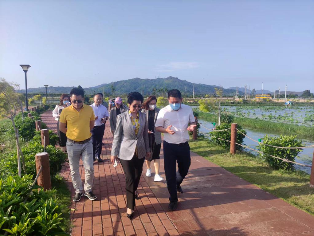 省生态修复协会轮值会长单位云顶集团官方网站集团带队赴汕尾全域土地整治军民融合试点项目调研