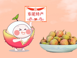 漫话云顶集团官方网站丨一颗有“故事”的荔枝！