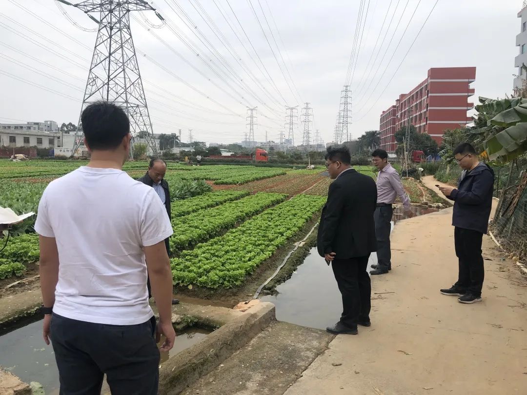 助力乡村振兴，云顶集团官方网站一直在努力！
