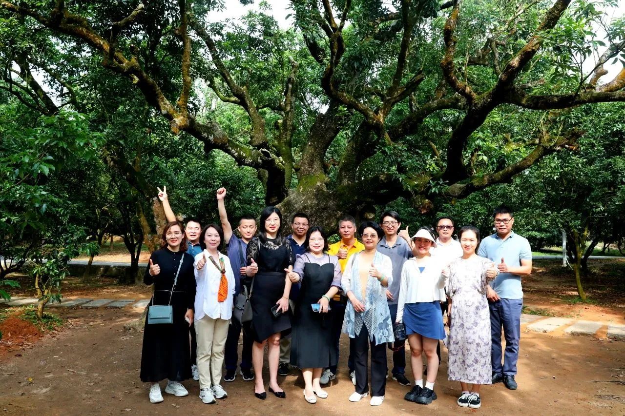云顶集团官方网站集团作为省国土空间生态修复协会轮值会长带队调研粤西全域土地综合整治工作