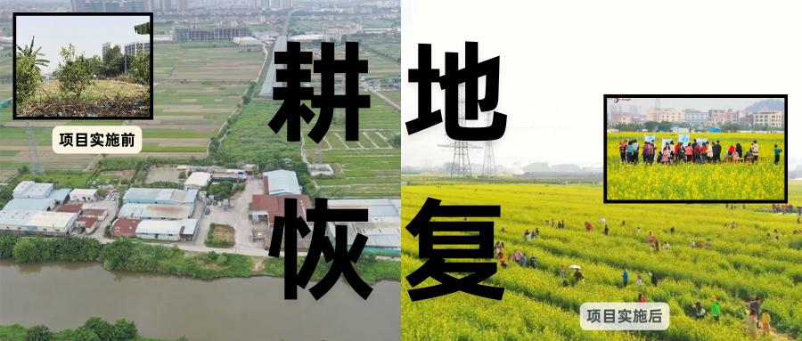 耕地；び刖梅⒄构踩凇甘泻窠终蛩谏缜读继锵钅扛鼗指从氤窍缛诤系拇葱率导
