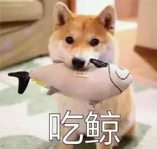 1625534390798776 微信图片_20210706091843.jpg
