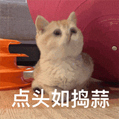 1629363102761695 微信图片_20210819165129.gif