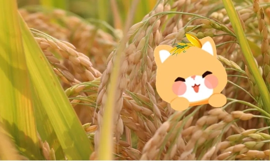 1704358629668211 微信截图_20240104165640.png